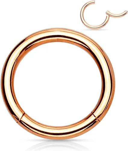 Vista 100 de Forbidden Body Jewelry - Piercing para la nariz de acero quirúrgico 316L con bisagra, 14G, 16G, 18G, diámetro de 15/64, 5/16, 25/64, 15/32 pulgadas