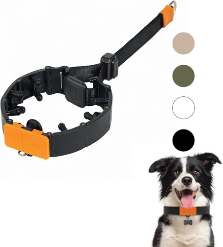 Vista 15 de SVD.PET Collar de punta para perro para entrenamiento sin tirones, hebilla de liberación rápida ajustable para perros pequeños