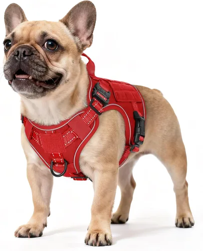 Vista 9 de rabbitgoo - Arnés táctico para perros pequeños, arnés resistente para mascotas con asa, chaleco de servicio sin tirones para razas pequeñas, chaleco
