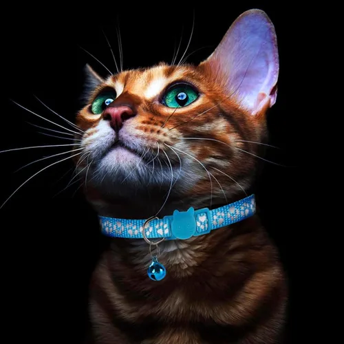 Vista 4 de Paquete de 2 collares reflectantes para gatos con campanas de 7 a 12 pulgadas, color azul Reflective, breakaway buckle, bells included, 7-12 inch