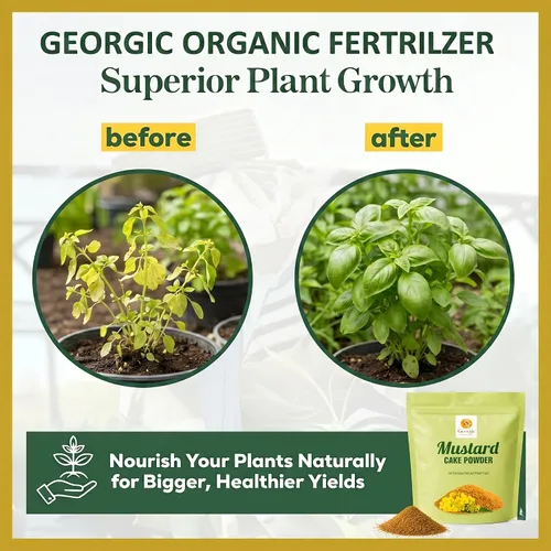 Vista 4 de Polvo de pastel de aceite de mostaza, fertilizante natural multiusos para flores, verduras, hierbas, árboles frutales y plantas, alimentos naturales