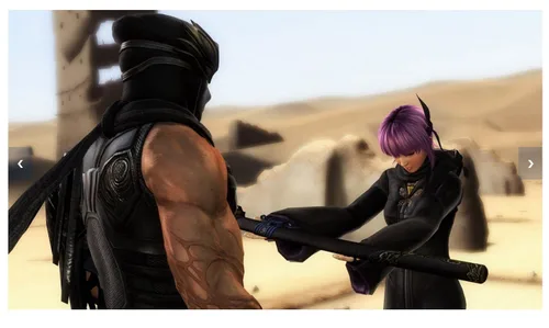 Vista 5 de Ninja Gaiden Colección Master inglés Nintendo Switch