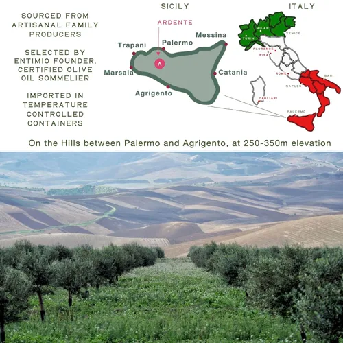 Vista 4 de Entimio Ardente Aceite de oliva virgen extra italiano orgánico de Italia, más de 600 mg/kg alto en polifenoles, ganador del oro 2025, evoo