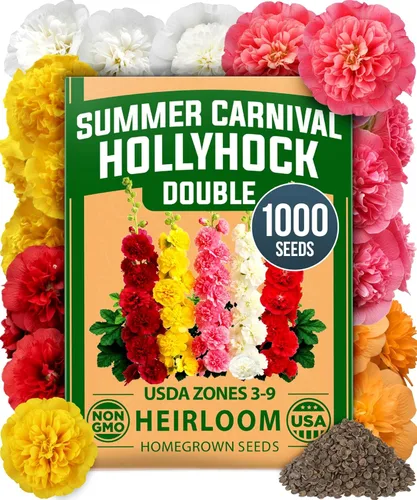 Vista 12 de HOME GROWN Semillas de zinnia rosa – 300 zinnias Luminosa 0.5g, semillas anuales de flores fáciles de cultivar para plantar al aire libre para 2026