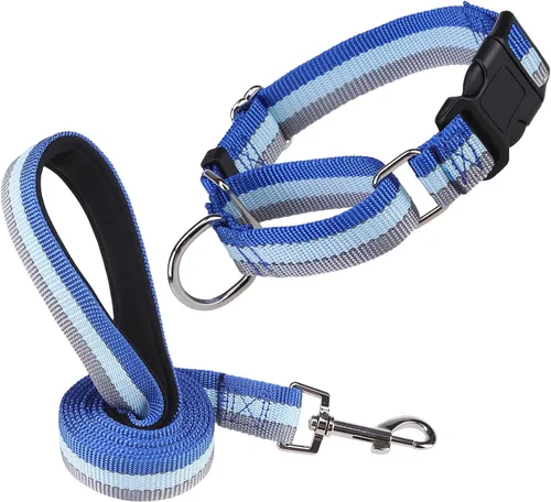 Vista 12 de Martingale - Juego de collar y correa para perro, para caminar, jugar, entrenar, collares reflectantes ajustables con correa para perros pequeños