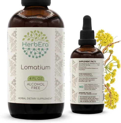 Vista 9 de HerbEra Lomatium B60 - Tintura de extracto de hierbas sin alcohol, gotas líquidas concentradas naturales Lomatium Dissectum 2 fl oz