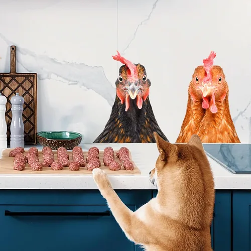 Vista 5 de Calcomanías de pared de gallina de pollo, divertidas calcomanías de pared para decoración de habitación, lindas calcomanías de pared de cabeza