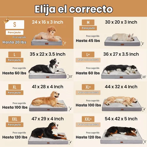 Vista 2 de OhGeni Cama ortopédica para perros pequeños, espuma viscoelástica 01-gris