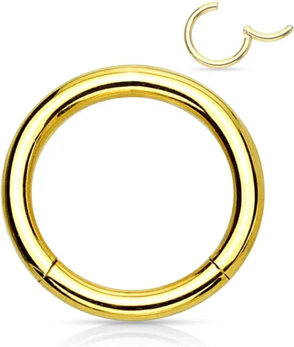 Vista 63 de Forbidden Body Jewelry - Piercing para la nariz de acero quirúrgico 316L con bisagra, 14G, 16G, 18G, diámetro de 15/64, 5/16, 25/64, 15/32 pulgadas