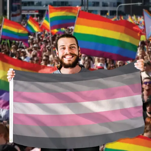 Vista 3 de Bandera demisexual Girl Demi Girl Pride de 3 x 5 pies de poliéster, perfecta para mostrar tu orgullo de apoyo comunitario. Polietileno de 3 x 5 pies