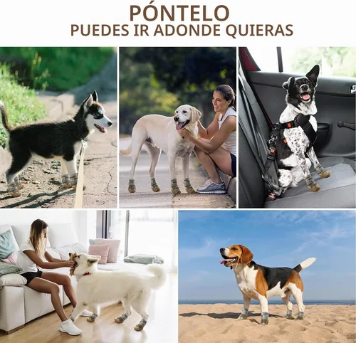Vista 9 de Botas para perros grandes, botas para perros medianos y protectores de patas para suelos de madera dura, botines para perros al aire libre