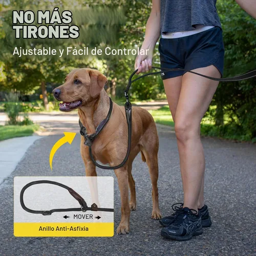 Vista 4 de Fida Correa de perro deslizante de 6 pies para perros grandes, correa