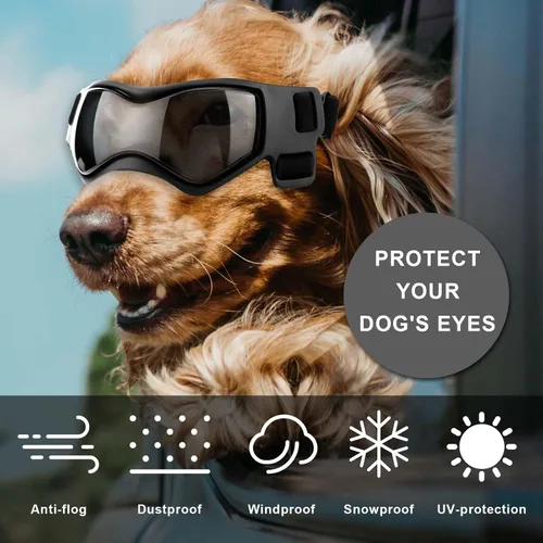 Vista 6 de Gafas de sol para perros de raza pequeña, gafas para perros pequeños, resistentes al viento, antivaho, anteojos ajustables para perros pequeños