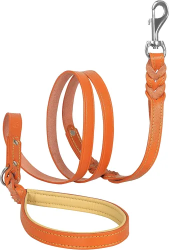 Vista 3 de Riparo - Juego de collar y correa de cuero para perro, correa de perro de doble asa de 6 pies x 3/4 pulgadas y collar ancho resistente para perros