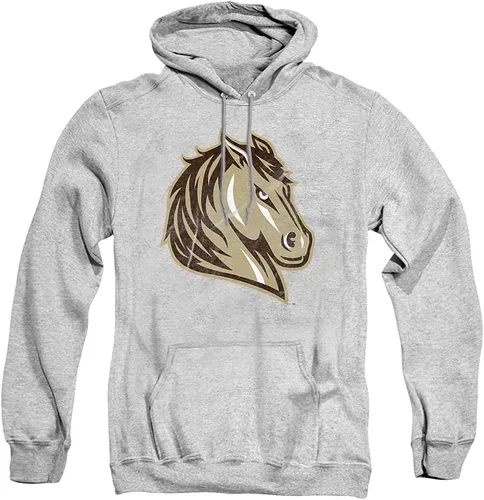 Vista 179 de Distressed College Primary Logo Adult Pullover Hoodie Collection 1 Universidad Estatal de Albany