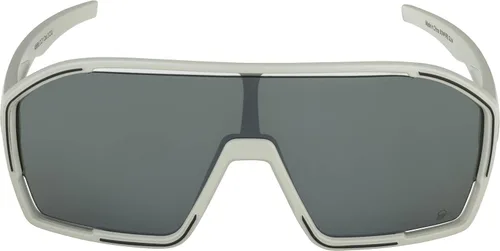 Vista 2 de ALPINA Equipo de Ciclismo Bonfire Q-lite Gris frío mate