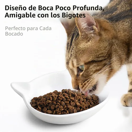 Vista 2 de Juego de 2 cuencos de cerámica poco profundos para gatos pequeños, aptos para bigotes para gatos