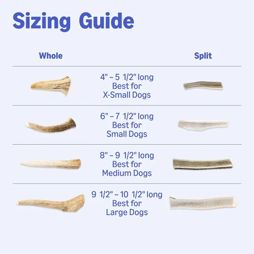 Vista 5 de Marca Amazon – Cuerno de ciervo Wag masticable para perros, mudado naturalmente, entero, mediano de 6 a 7.5 pulgadas, de larga duración