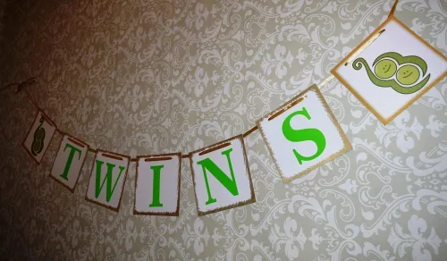 Vista 5 de [usa-sales] Twins Baby Shower Banner guirnalda, Baby Shower Decoraciones, Photo Booth props, nuevo diseño contemporáneo de usasales vendedor