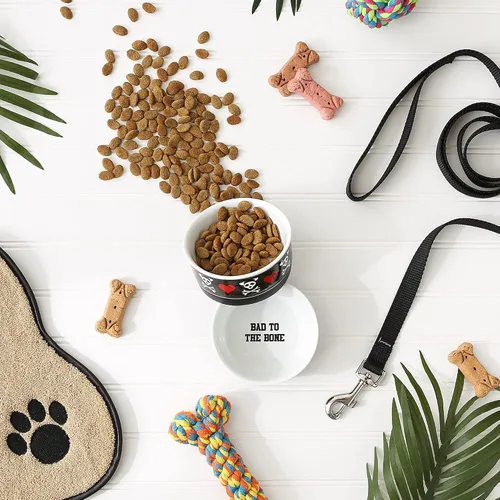 Vista 4 de Bone Dry Cuencos de cerámica para alimentos y agua para mascotas antideslizantes para una alimentación segura, menos desordenada, aptos