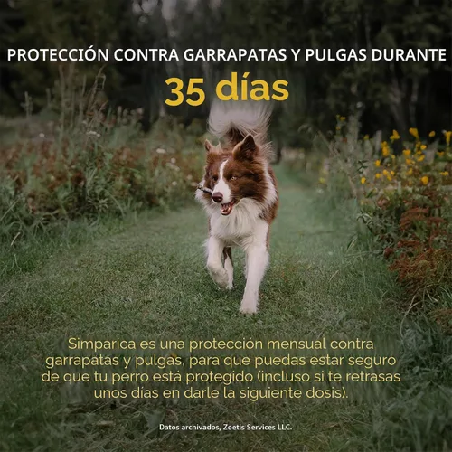 Vista 3 de Simparica (sarolaner) Masticables para perros, 120 mg/tab, 88.1-132 libras (marrón), 6 tabletas