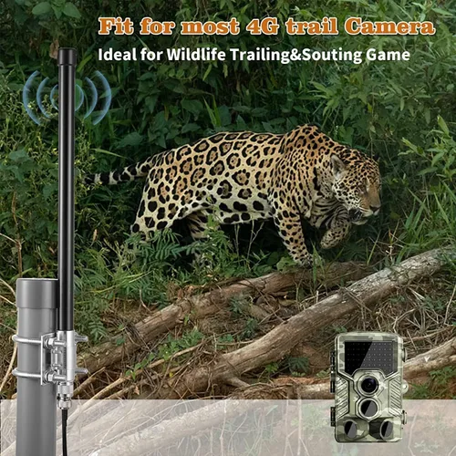 Vista 3 de Antena de cámara de rastro celular de largo alcance 4G LTE de 10dBi con cable de 20 pies para cámara Spypoint Flex Flex-M Link Micro Link EVO