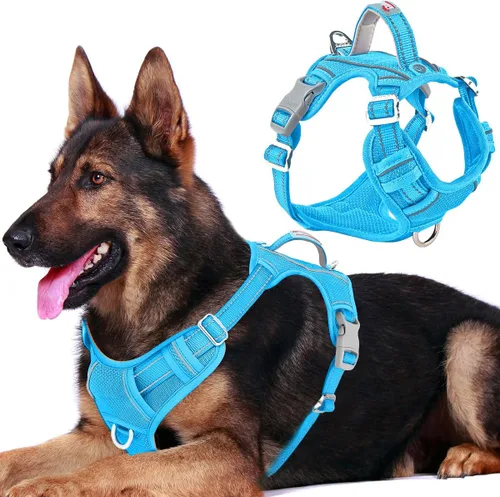 Vista 26 de BARKBAY Arnés Oxford sin tirones para perro con bolsillo para etiqueta de identificación, resistente, reflectante, fácil control para perros grandes
