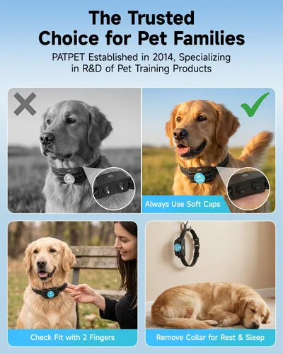 Vista 6 de PATPET Collar de Entrenamiento para Perros Collar de Choque para Perros con Control Remoto - 3 Modos de Entrenamiento, Pitido, Vibración y Choque