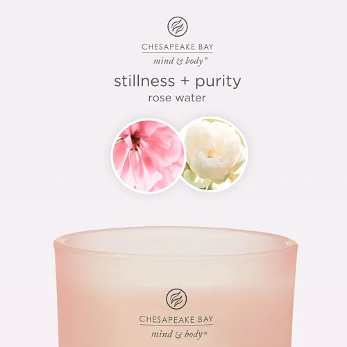 Vista 2 de Chesapeake Bay Vela perfumada Vela de aromaterapia en vaso de 3 mechas Stillness + Purity Tiempo de combustión: hasta 24 horas Colección Mind
