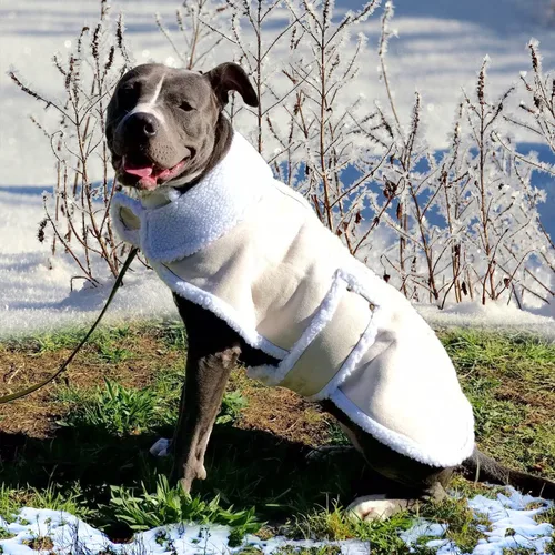 Vista 6 de Chaquetas para Perros de Piel de Oveja de CT Tienda de descuento., M, Blanco