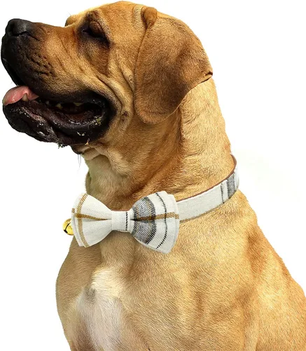 Vista 3 de Paquete de 2 collares de perro con corbatín y campanas, ajustable lindo collar de corbatín para perros pequeños, medianos y grandes, mascotas