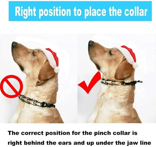Vista 5 de Love Dream Collar de entrenamiento para perros con hebilla de liberación rápida, collar de pellizco para perro con consejos de comodidad para perros