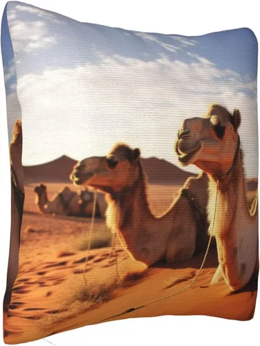 Vista 7 de Couch Throw Pillow Covers Square Decorative Throw Pillow Cover Camels Rest Desert Pillow Cases Double Sided Cushion Cover for Living Room Soft Plush