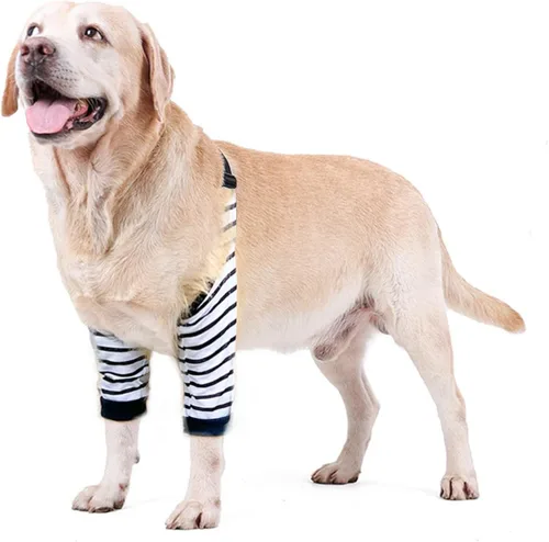 Vista 23 de Protector de codo para perro, coderas con almohadilla de malla para perros medianos y grandes para evitar lamer heridas (automóvil, 4XL)