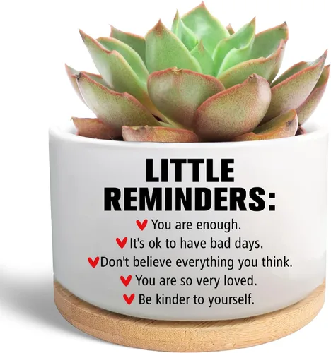 Vista 8 de Regalos inspiradores para mujeres, bonita maceta para suculentas, maceta de cactus para amantes de las plantas, regalo motivacional de animación