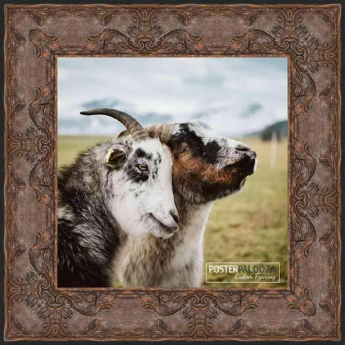 Vista 5 de Poster Palooza 5x5 Inch Traditional Antique Gold Complete Wood Square Picture Frame with UV Acrylic Plexiglass, Foam Board Backing & Hardware