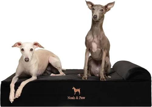 Vista 18 de NOAH & PAW Cama pequeña para perros, 20 x 15 x 6.5 pulgadas, cama para gatos de interior, espuma viscoelástica ortopédica de cáscara de huevo Verde