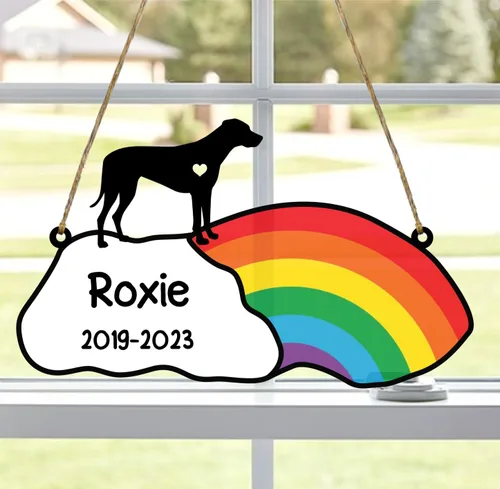 Vista 95 de LOVELYPOD Rainbow Bridge - Regalos conmemorativos para mascotas, regalos conmemorativos para perros afganos por pérdida de sabueso afgano, regalo