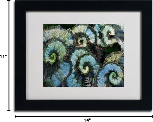 Vista 6 de Trademark Fine Art Escargot Begonia - Arte enmarcado mate por Kurt Shaffer en marco negro, 11 x 14 pulgadas