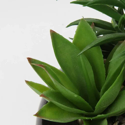 Vista 3 de Hollyone Plantas suculentas artificiales grandes en macetas, plantas suculentas falsas en macetas con maceta de cerámica negra para decoración