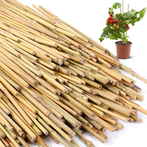 Vista 10 de Suclain Juego de 30 estacas de bambú para plantas trepadoras, estacas de bambú resistentes para tomates, frijoles, flores y plantas en maceta