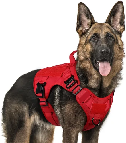 Vista 26 de rabbitgoo - Arnés táctico para perros pequeños, arnés resistente para mascotas con asa, chaleco de servicio sin tirones para razas pequeñas, chaleco