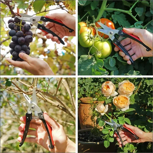 Vista 5 de Eden 39006 Tijeras de corte de derivación duraderas, diámetro de corte de 1/4 pulgadas para tallos y ramas, acero al carbono alto, agarre ergonómico