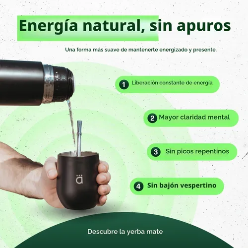 Vista 6 de Kalmateh Yerba Mate Gourd 8oz y botella aislada al vacío de 33.8 fl oz, incluye vaso mate, frasco de doble pared, popote bombilla, cepillo de Negro