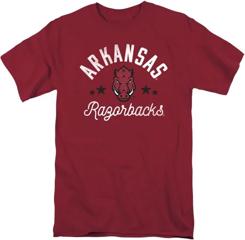 Vista 160 de Collegiate Distressed Mascot Unisex Adult T Shirt Collection 3 Universidad de Adelphi