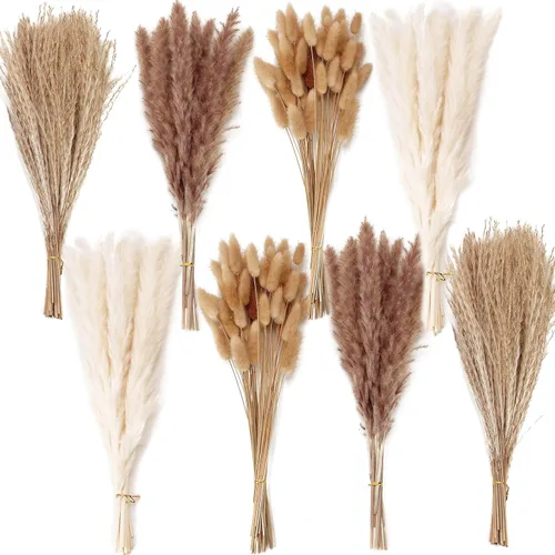 Vista 9 de 10 tallos de hierba de las pampas de 40 pulgadas de alto en color beige natural, añade un toque bohemio a tu espacio: hierba de las pampas ideal