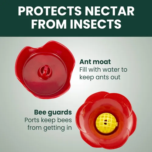 Vista 4 de Perky-Pet 203CPBN Comedero de vidrio para colibríes al aire libre con posaderos, foso de hormigas, protectores de abejas - Paquete de 1