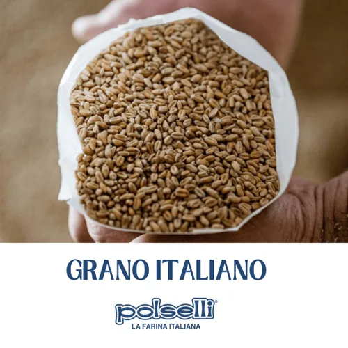 Vista 3 de POLSELLI Harina Orgánica, Tipo 00, 100% Grano Italiano, Harina Doble Cero, OO Extra Fina, 5 kg, 11 lbs, BIO, Pizza Napolitana Italiana, Pan, Pasta