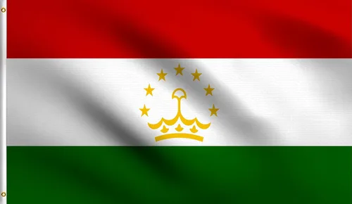 Vista 48 de DMSE - Bandera nacional beninesa beninesa de la República de África Occidental, 2 x 3 pies, 100 % poliéster, 100 % poliéster, resistente a los rayos