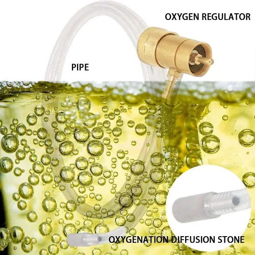 Vista 3 de Joywayus Sistema de inyección de oxígeno Kit de oxigenación de cerveza casera Piedra de difusión